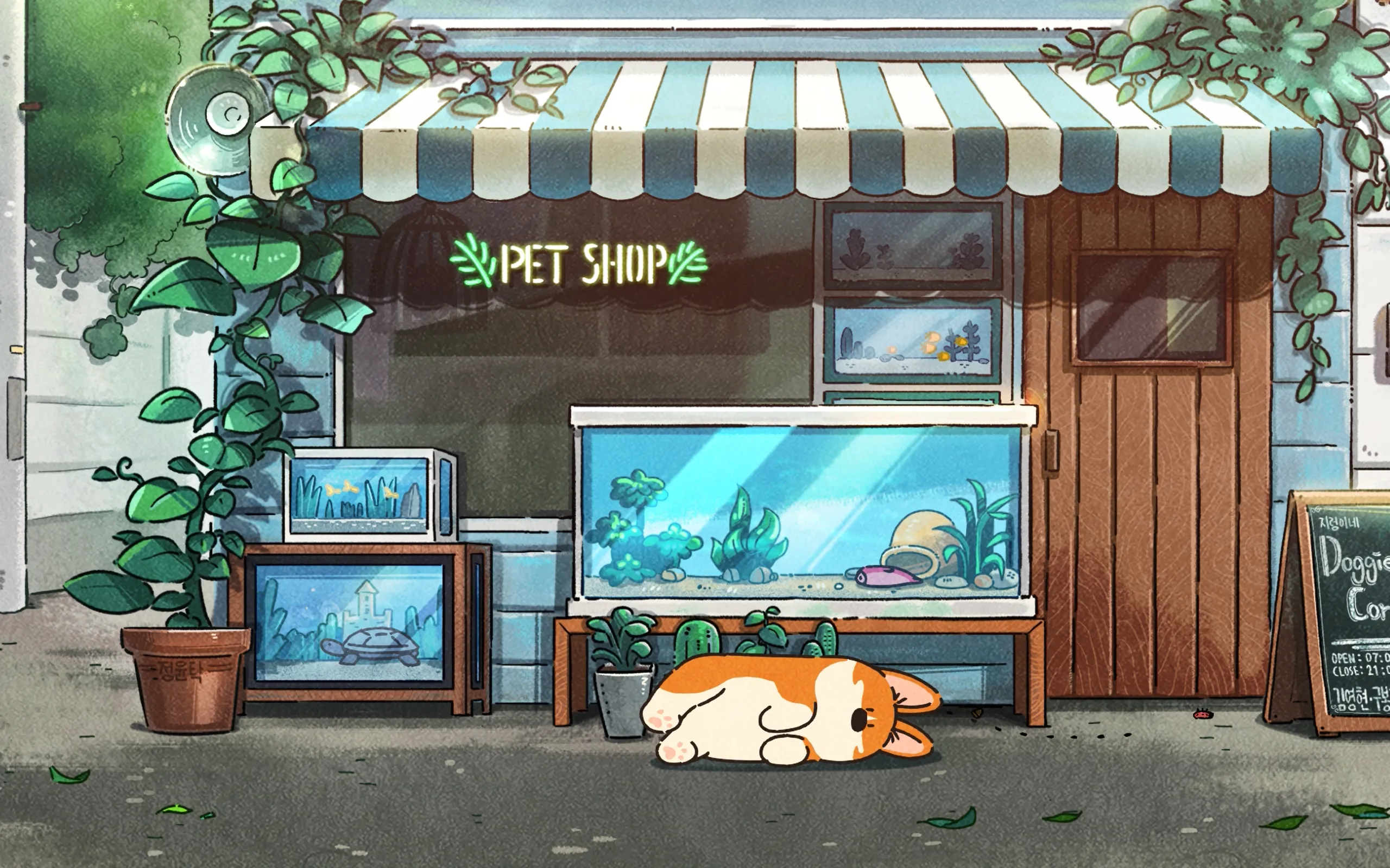 优雅配置 .NET SDK 环境 cover